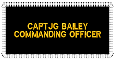 BAILEY nametape